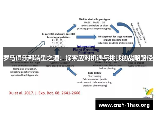 罗马俱乐部转型之道：探索应对机遇与挑战的战略路径