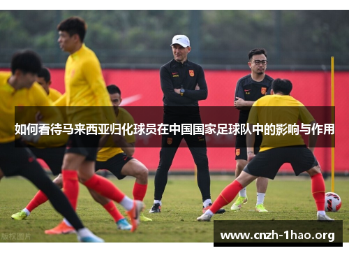 如何看待马来西亚归化球员在中国国家足球队中的影响与作用