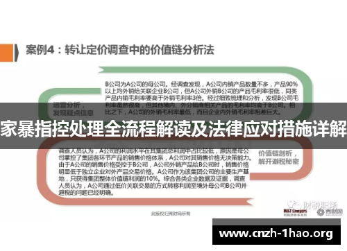 家暴指控处理全流程解读及法律应对措施详解