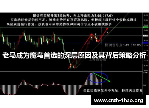老马成为魔鸟首选的深层原因及其背后策略分析