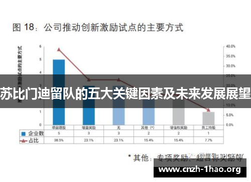 苏比门迪留队的五大关键因素及未来发展展望