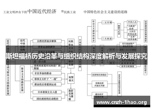 斯坦福桥历史沿革与组织结构深度解析与发展探究